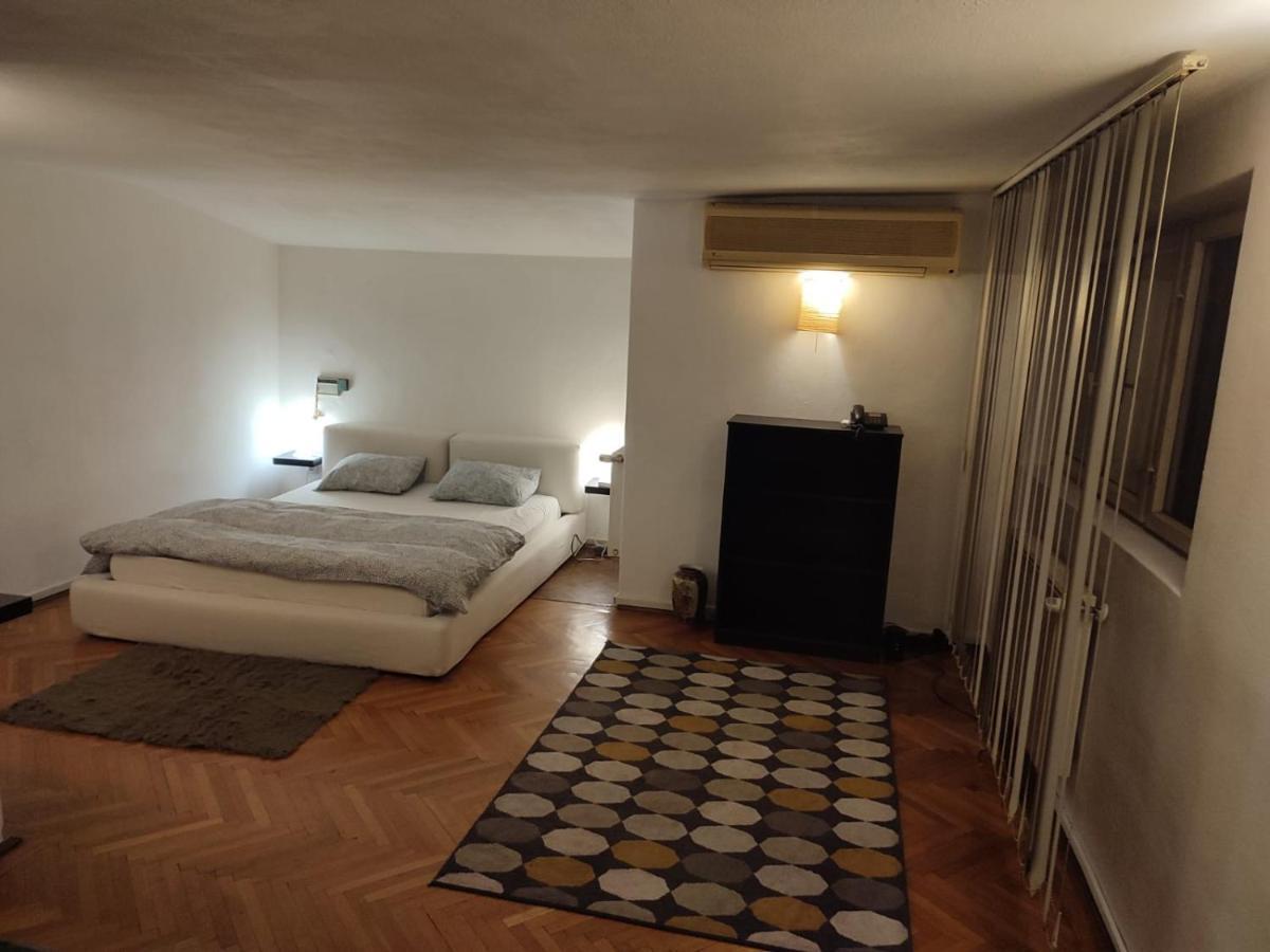Apartmán Dorobanti Loft Bukurešť Exteriér fotografie